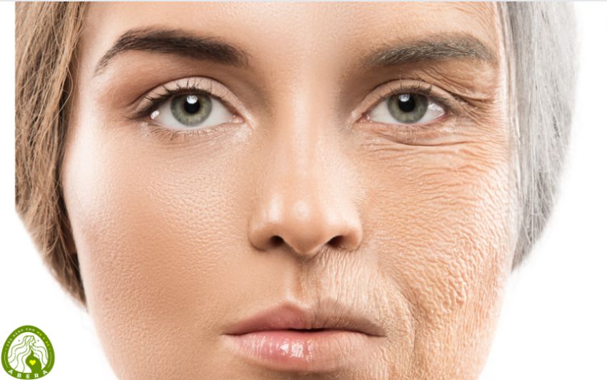 Tái tạo da là gì? Có nên sử dụng tinh chất tái tạo da hay không?
