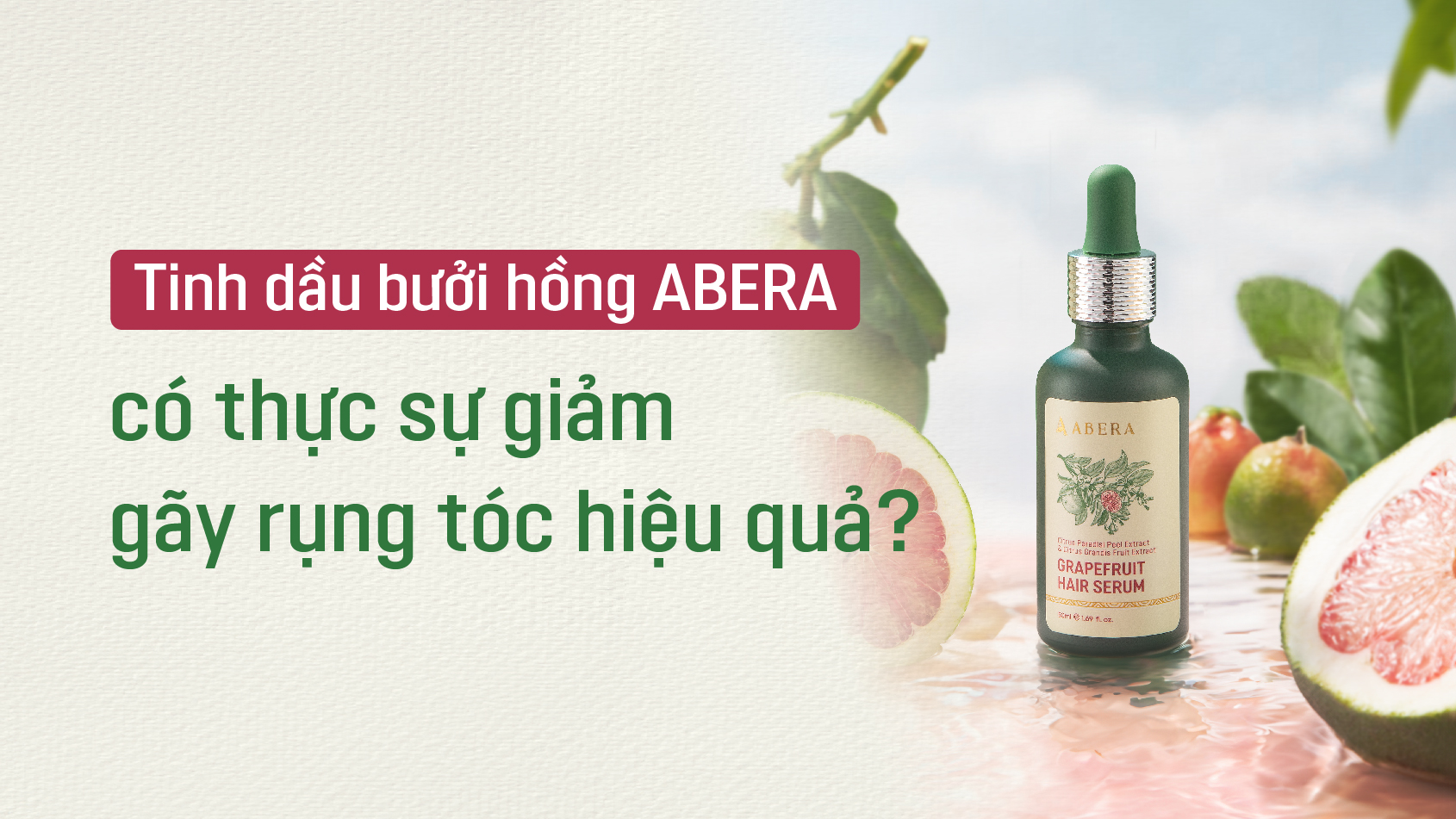 Review tinh dầu bưởi hồng Abera có thực sự ngăn gãy rụng tóc hiệu quả?