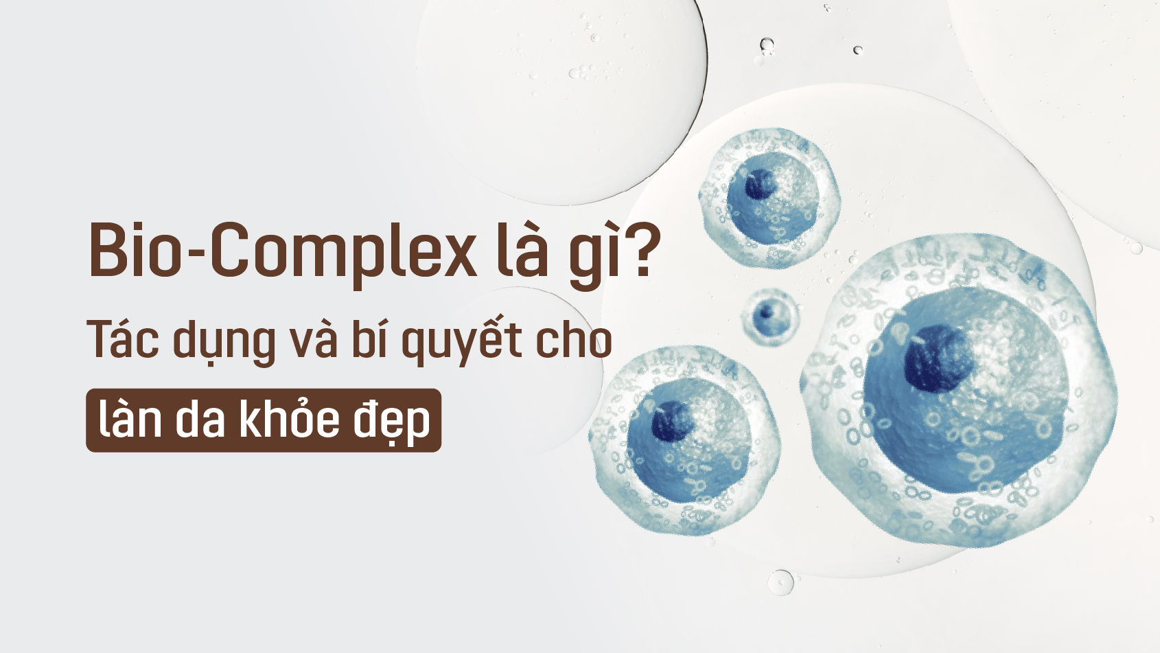 Bio-Complex là gì? Tác dụng và bí quyết cho làn da khỏe đẹp  