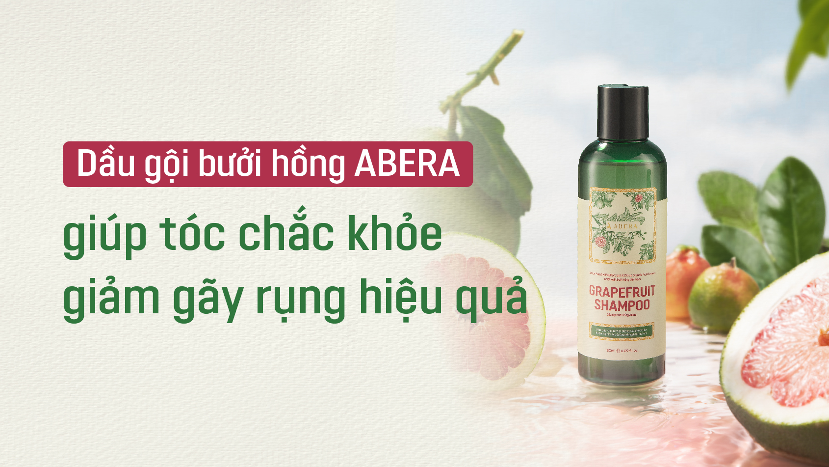  Review dầu gội bưởi hồng Abera giúp tóc chắc khỏe, giảm gãy rụng hiệu quả