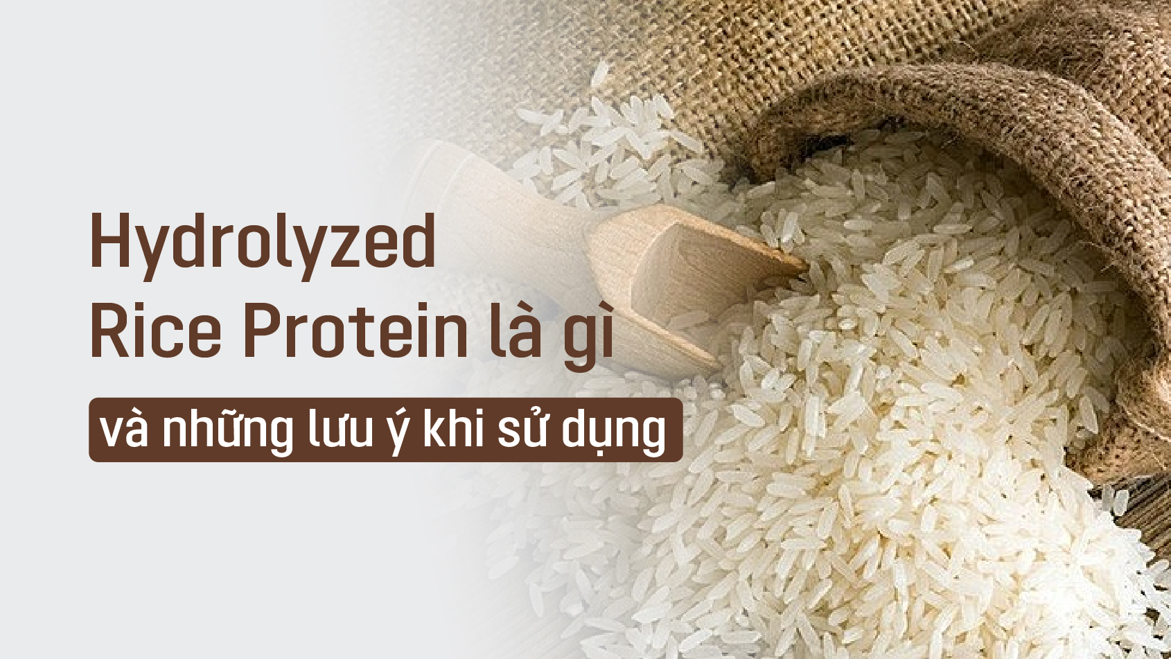  Hydrolyzed Rice Protein là gì?