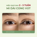 HIỆU QUẢ SỬ DỤNG